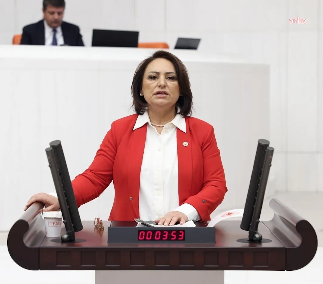 CHP’li Şevkin: “Kadınların yaşam hakkı istatistiklerle geçiştirilemez”